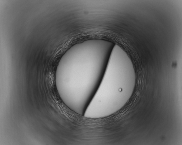 X0000116100772200911230931