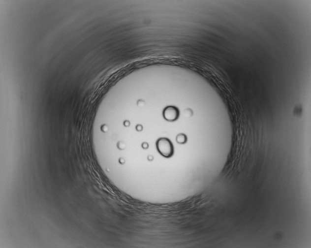 X0000116100773200911230931