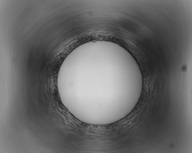 X0000116100774200911230931