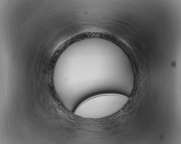 X0000116100775200911230931