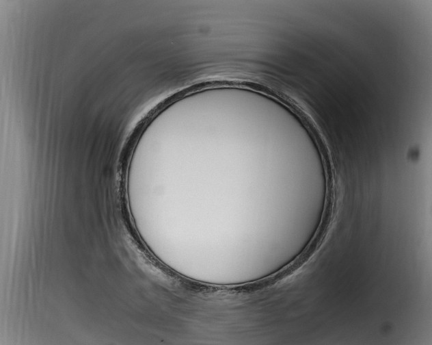 X0000116100779200911230931