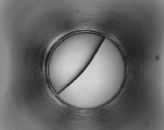 X0000116100780200911230931