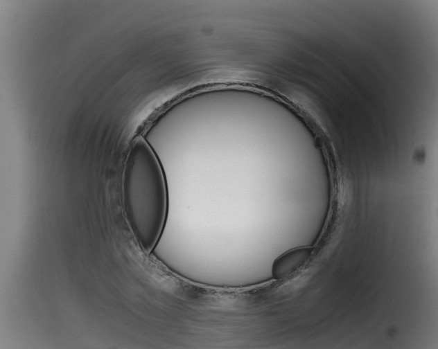 X0000116100781200911230931