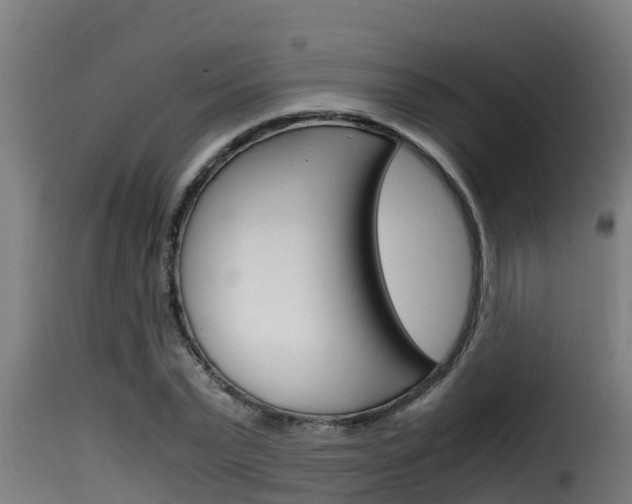 X0000116100783200911230931