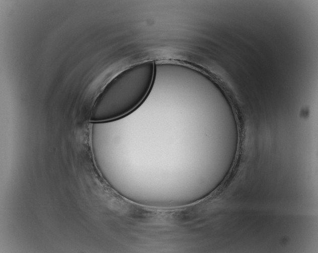 X0000116100785200911230931