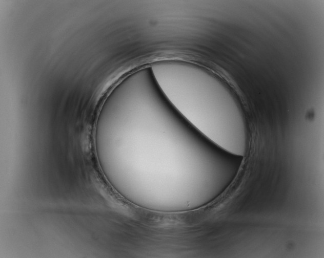 X0000116100786200911230931