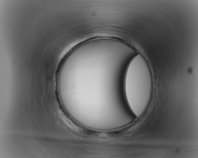 X0000116100787200911230931