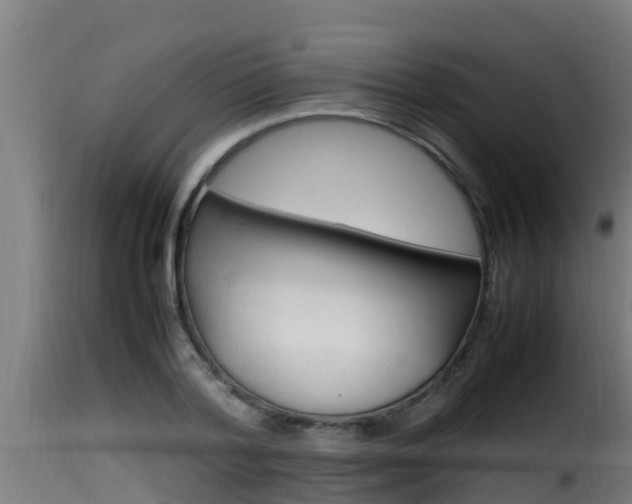 X0000116100788200911230931