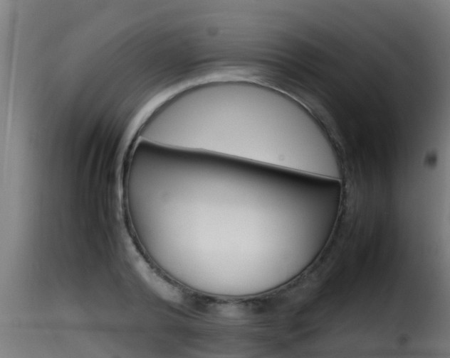 X0000116100792200911230931
