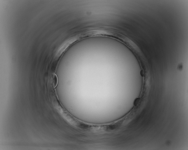 X0000116100793200911230931