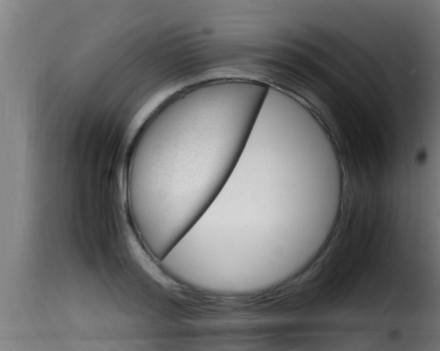 X0000116100796200911230931
