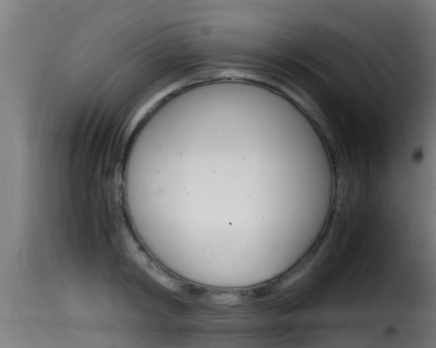 X0000116100798200911230931