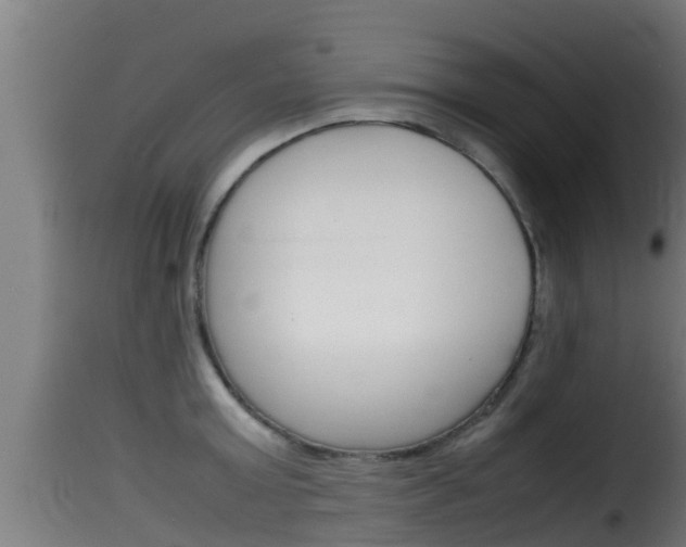 X0000116100803200911230931