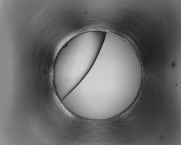 X0000116100812200911230930
