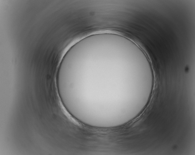 X0000116100813200911230930