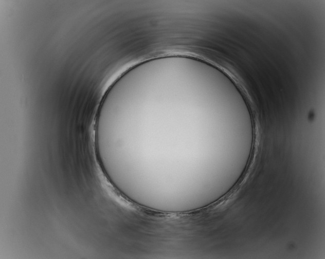X0000116100814200911230930