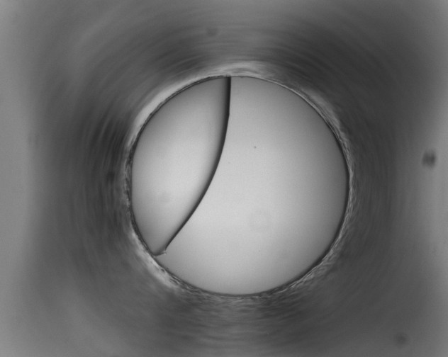 X0000116100816200911230930