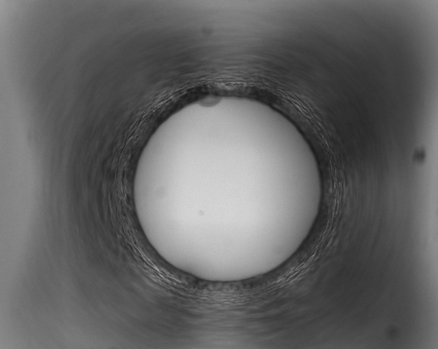 X0000116100817200911230930