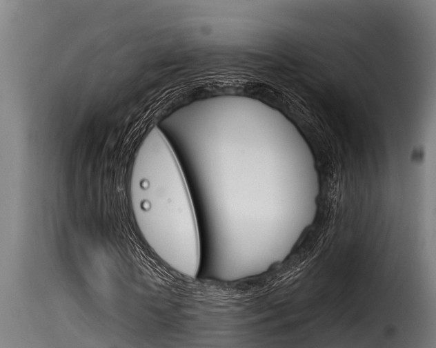 X0000116100818200911230930