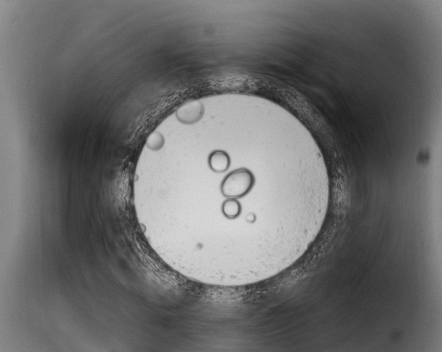 X0000116100820200911230930