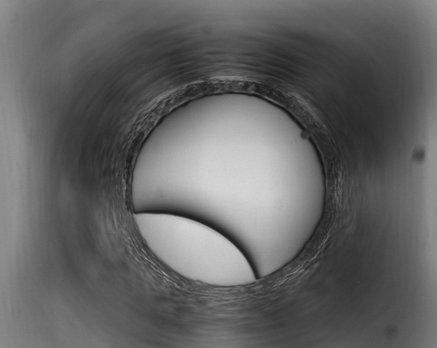 X0000116100821200911230930