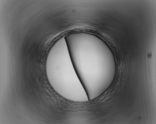 X0000116100822200911230930