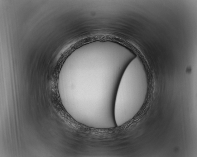 X0000116100823200911230930