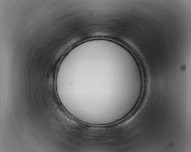 X0000116100825200911230930