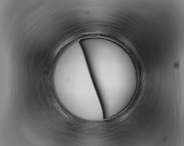 X0000116100826200911230930