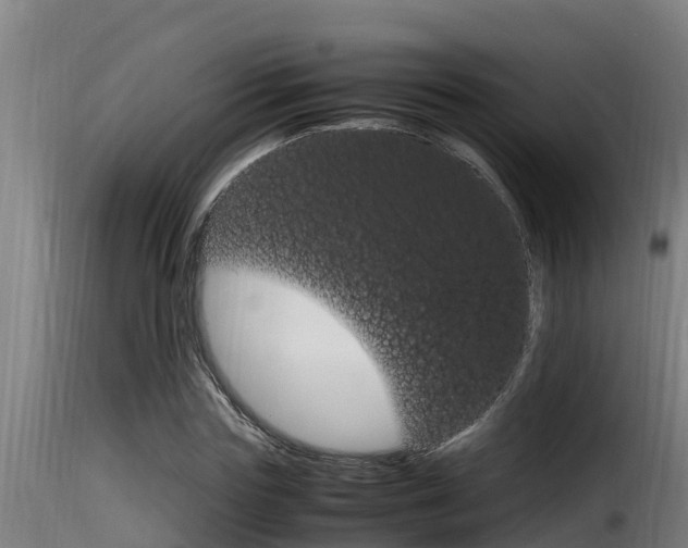 X0000116100827200911230930