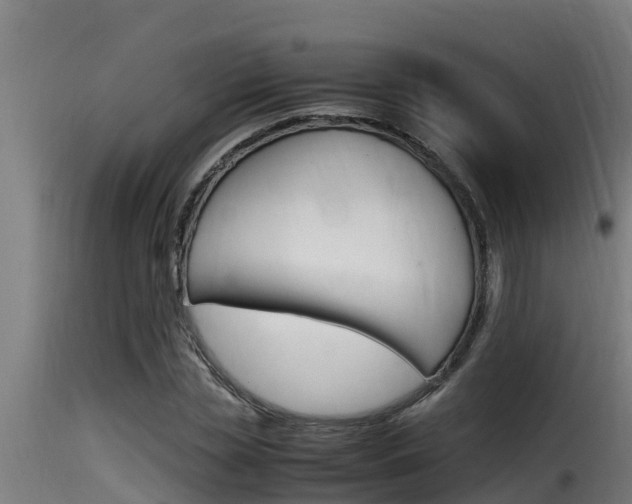 X0000116100829200911230930