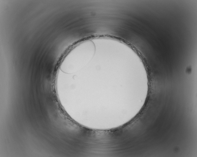X0000116100832200911230930