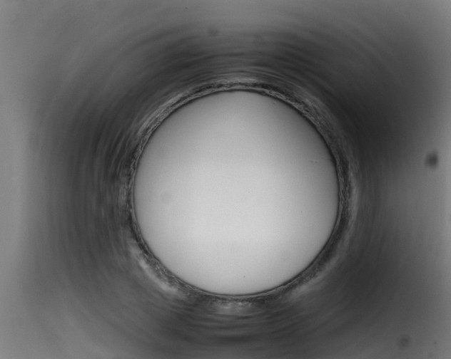 X0000116100833200911230930