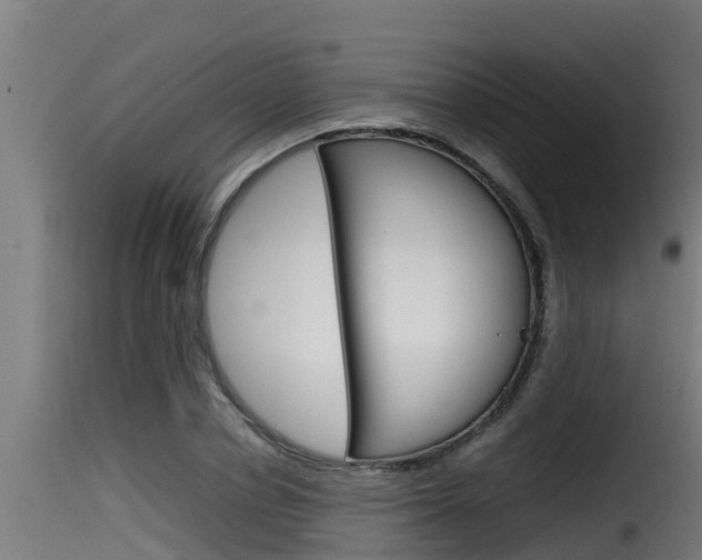 X0000116100834200911230930