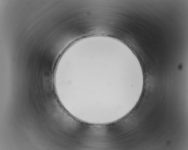 X0000116100836200911230930