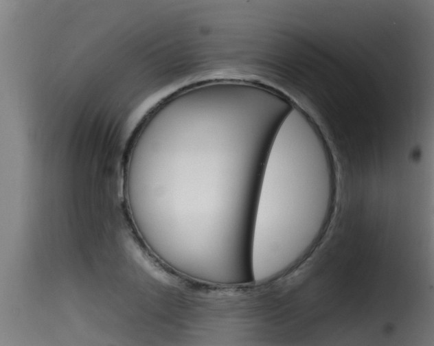 X0000116100838200911230930