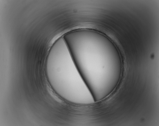 X0000116100842200911230930