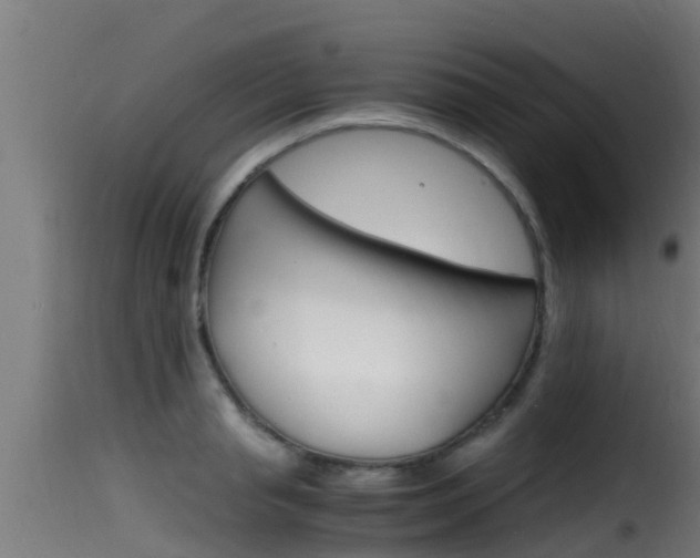 X0000116100845200911230930