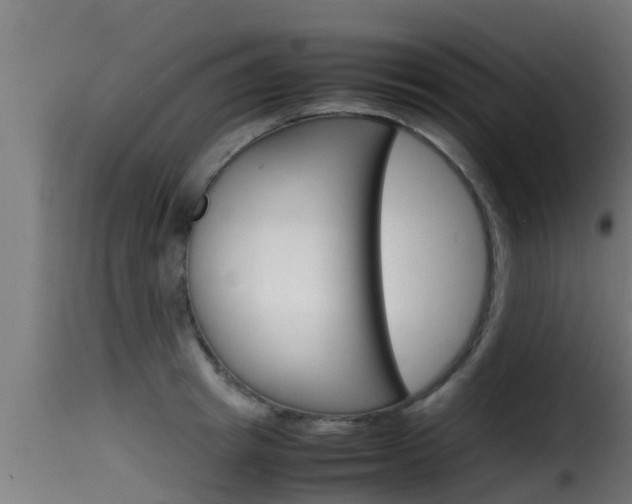 X0000116100849200911230930
