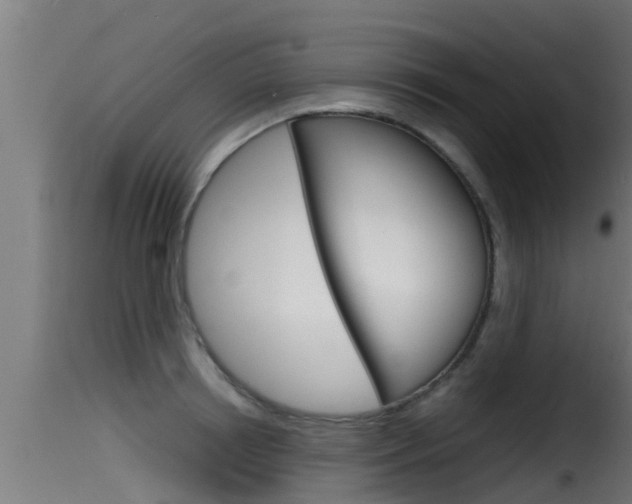 X0000116100850200911230930