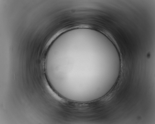 X0000116100851200911230930
