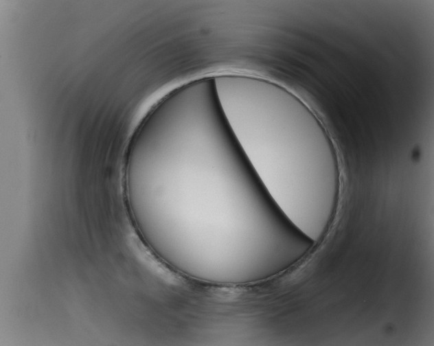 X0000116100854200911230930