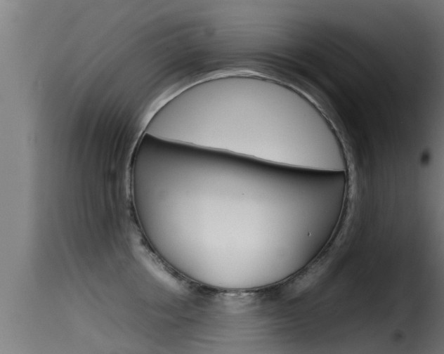 X0000116100858200911230930
