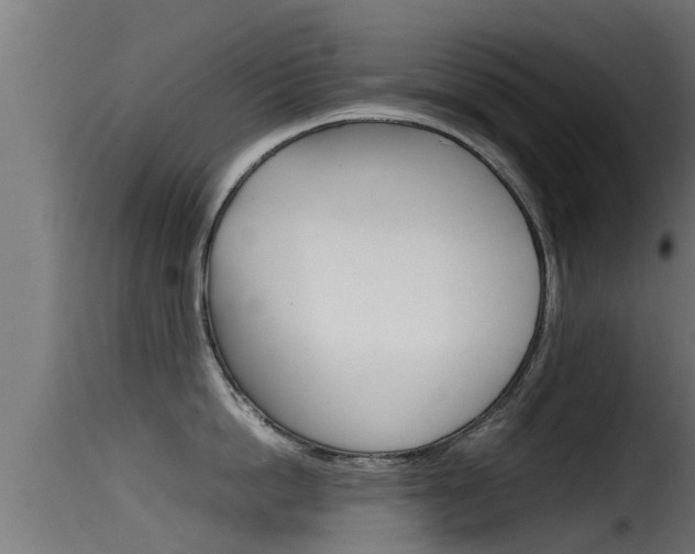 X0000116100862200911230930
