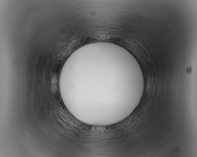 X0000116100866200911230930