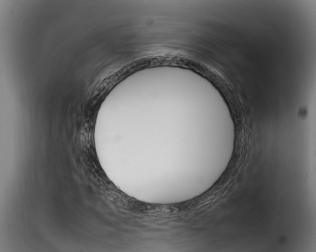 X0000116100869200911230930