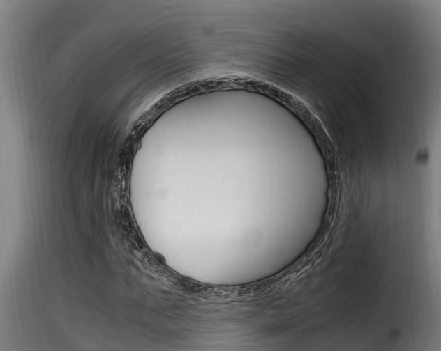 X0000116100871200911230930