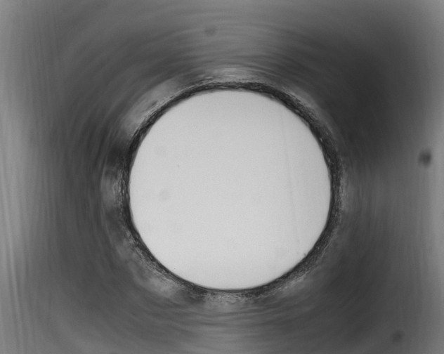 X0000116100873200911230930