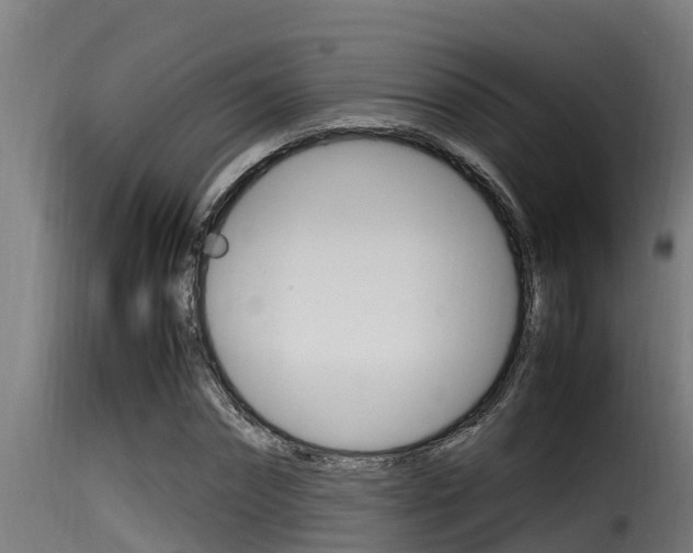 X0000116100874200911230930