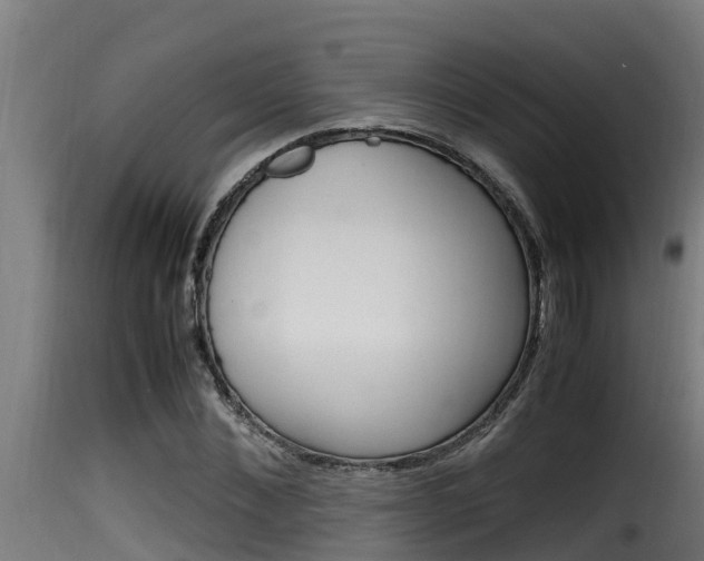 X0000116100876200911230930